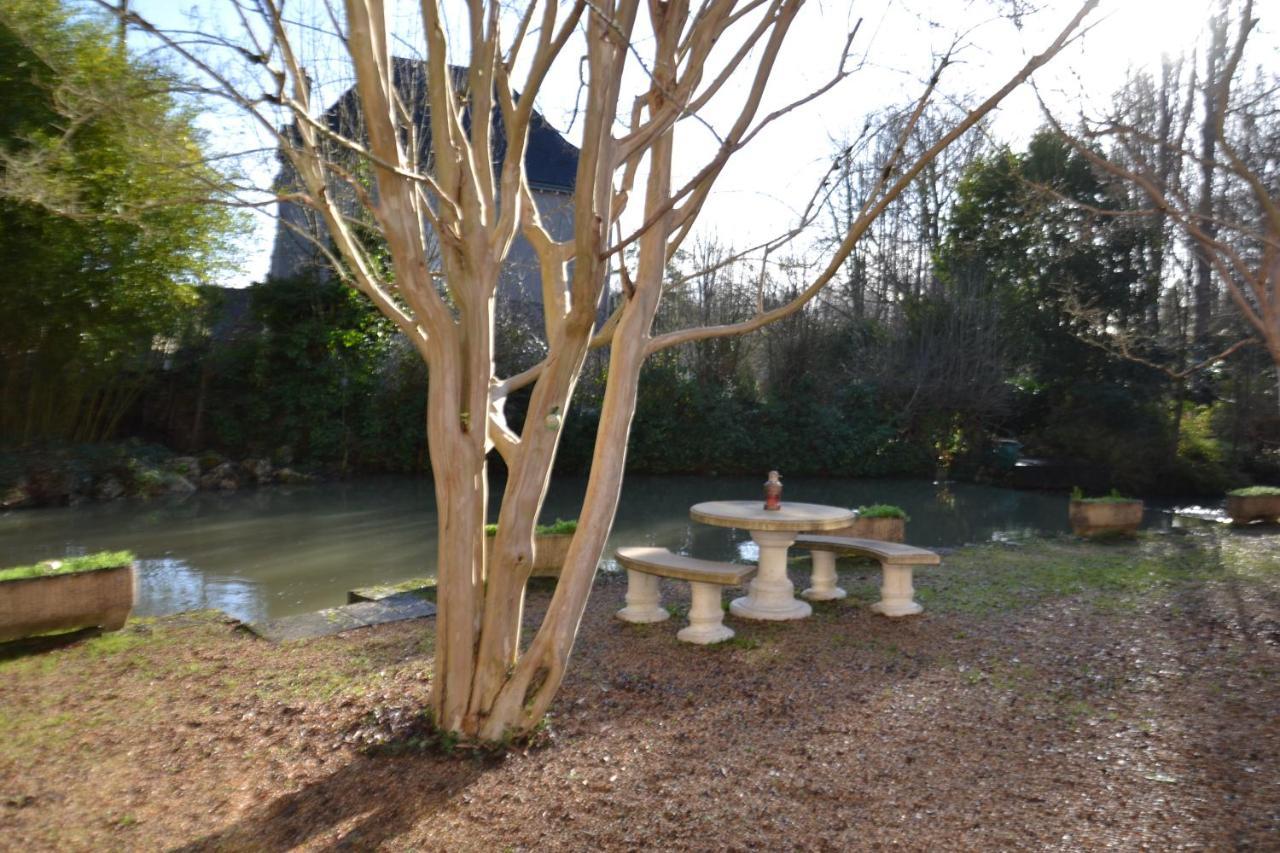 Le Moulin Et L'Olivier Three Bedroom Suite Chambon-sur-Cisse Bagian luar foto